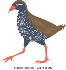 An image illustration of the Okinawa Rail, a flightless bird that lives in Okinawa Prefecture