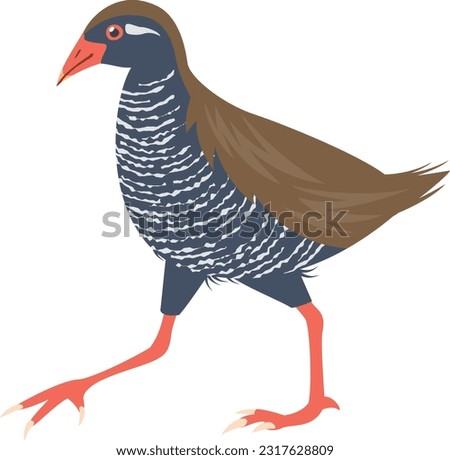An image illustration of the Okinawa Rail, a flightless bird that lives in Okinawa Prefecture
