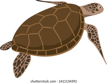 Image illustration of one sea turtle