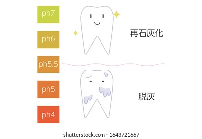 Ilustración de la imagen del valor de pH de la remineralización y desmineralización
 Traducción: remineralización, desmineralización
