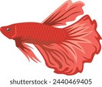 Image illustration of red tropical fish betta