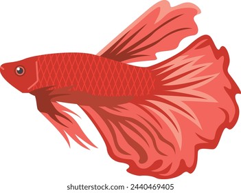 Image illustration of red tropical fish betta