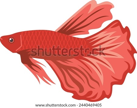 Image illustration of red tropical fish betta
