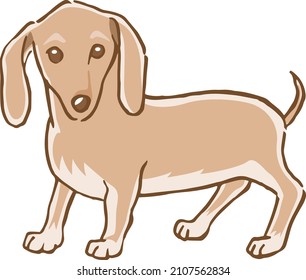 Image illustration of standing miniature dachshund (brown)