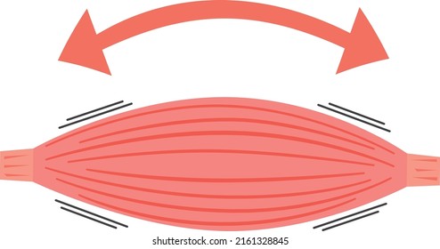 Image illustration of stretching muscles