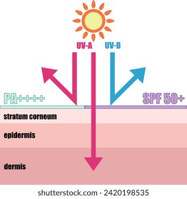 Image illustration of sunscreen protecting skin from ultraviolet rays