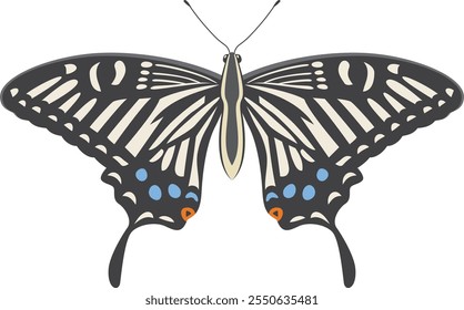 Image illustration of a swallowtail butterfly spreading its wings