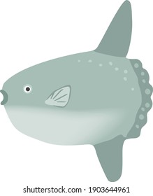 Image illustration of a swimming sunfish