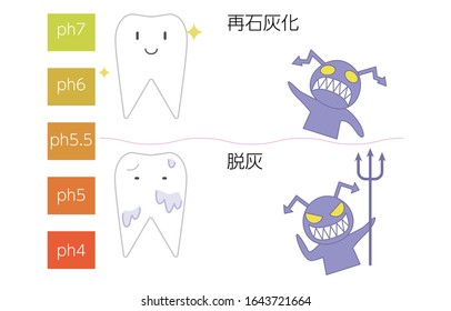 Image illustration of tooth and dental caries by pH value of remineralization and demineralization
Translation: remineralization, demineralization