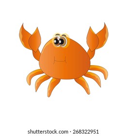 The image of the inhabitant of the sea - crab on white background