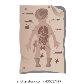 Image of the internal organs of a young cowboy. Vector.