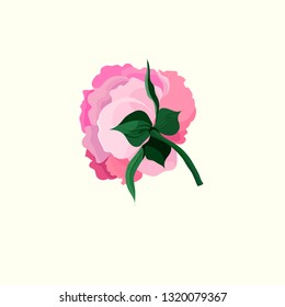 The image of an isolated bright pink peony flower on a light background. Vector botanical illustration. Summer motifs, imitation of watercolor.