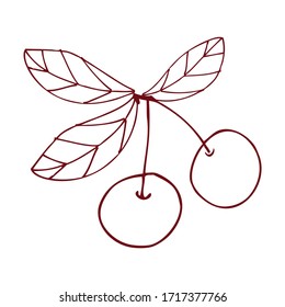 Image isolated. Cherry on a white background. Tasty fruits. Menu design element, organic products, vegetarian food. Vector graphics. Doodle style Hand drawing.