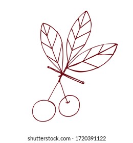 Imagen aislada. Cereza sobre fondo blanco. Frutas sabrosas. Elemento de diseño de menú, productos ecológicos, comida vegetariana. Gráficos vectoriales. Dibujo a mano estilo Doodle.
