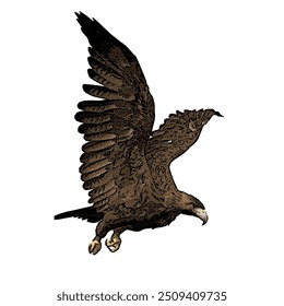 The image is isolated ilustration vector design of bald eagle and snake, spilornis cheela