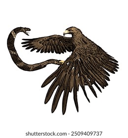 The image is isolated ilustration vector design of bald eagle and snake, spilornis cheela