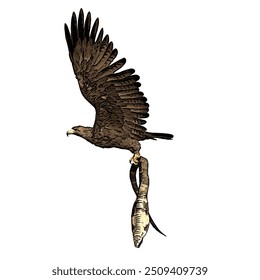 The image is isolated ilustration vector design of bald eagle and snake, spilornis cheela