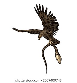 The image is isolated ilustration vector design of bald eagle and snake, spilornis cheela