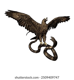 The image is isolated ilustration vector design of bald eagle and snake, spilornis cheela