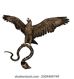 The image is isolated ilustration vector design of bald eagle and snake, spilornis cheela