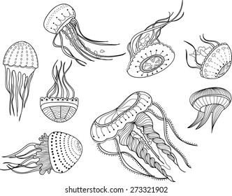 Image of jellyfish in cartoon style