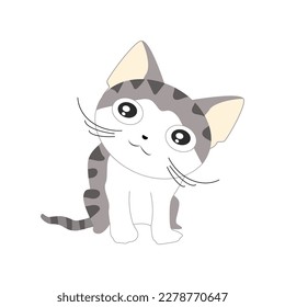 
Image of a kitten on an isolated background