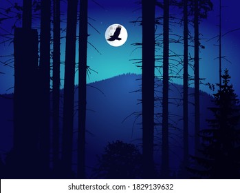 El paisaje de las imágenes. Pancarta ecológica. Noche. Luces de luna.