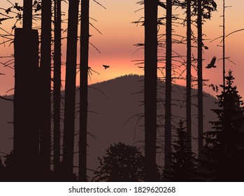 Image landscape. Eco banner. Sunset in mountains. 