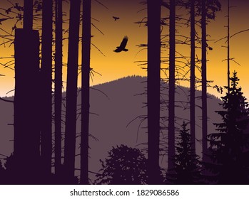 Bildlandschaft. Öko-Banner. Violett- und Gelbtöne.