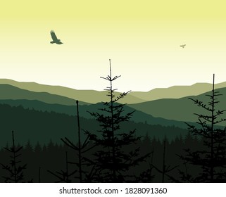 Image landscape. Green and yellow tones.
