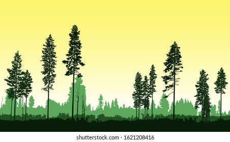 Image  landscape. Seamless woodland. Summer tones.