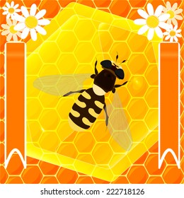 Image large bee on honeycomb background
