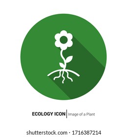 Image of a leaf as a symbol of organic product.