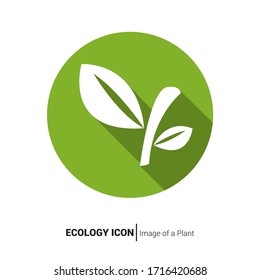 Image of a leaf as a symbol of organic product.