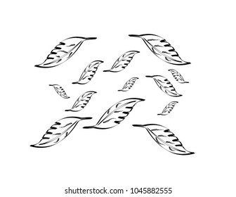 Image leaf of texture. vector illustration