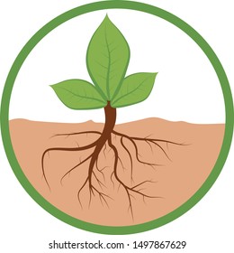Image of the leaves, roots and land put together to become a logo