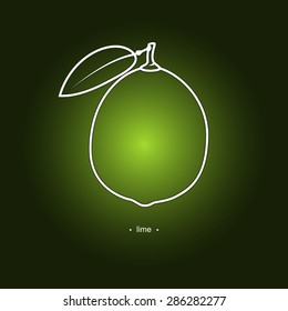 Image Lime on a Dark Green Background, Line Style, Vector Illustration