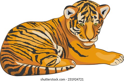  Image of little tiger lying isolated on white background.