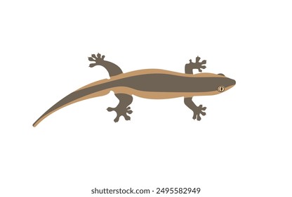 Image of a lizard for logo design. Reptiles, vector, white background