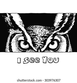 Image looking owl. Vector black and white illustration.
