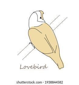 Imagen de un loro de ave amorosa. Dibujo lineal de un ave