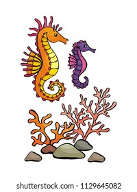 Image of lovely sea inhabitants in doodle style. Vector illustration isolated on a white background.