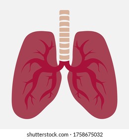 Image of lungs on a white background. Vector image, eps 10