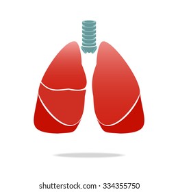 The image of lungs on a white background. 