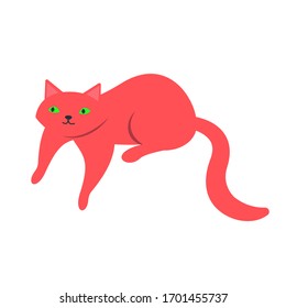 Image of a lying cat on a white background. Cute, funny pet.