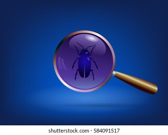 Image of a magnifying glass with an insect.