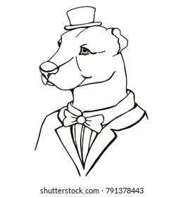 image of a male dog, stylish gentleman in a hat and with a butterfly, vector, black and white graphics