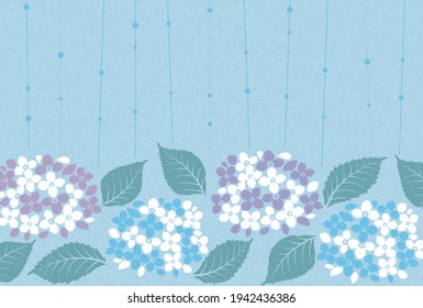 Image material of the rainy season expressed by hydrangea and rain