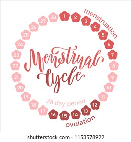 An image of a menstrual cycle chart. Vector illustration