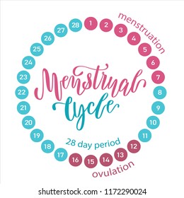 An image of a menstrual cycle chart. Vector illustration